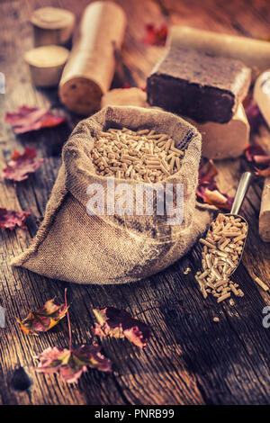 Premuto in legno agglomerati in forma di pellets e bricchetti da biomassa con foglie di autunno. Foto Stock