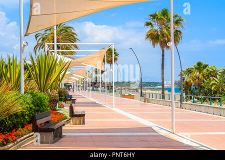 Fiori sul lungomare in Estepona cittadina sulla Costa del Sol, Spagna Foto Stock