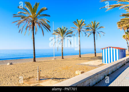 Palme sulla spiaggia sabbiosa di Marbella, Costa del Sol, Spagna Foto Stock