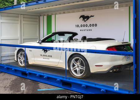 ROYAL OAK, MI/USA - Agosto 17, 2018: UN 2019 10.000.000 (10 milionesimo) Ford Mustang a Woodward crociera da sogno. Foto Stock