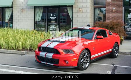 FERNDALE, MI/STATI UNITI D'America - 18 agosto 2018: una Ford Mustang Shelby GT 500 auto a 'Mustang Alley', a Woodward crociera da sogno. Foto Stock