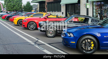 FERNDALE, MI/USA - Agosto 18, 2018: Nove Ford Mustang cars a 'Mustang Alley', a Woodward crociera da sogno. Foto Stock