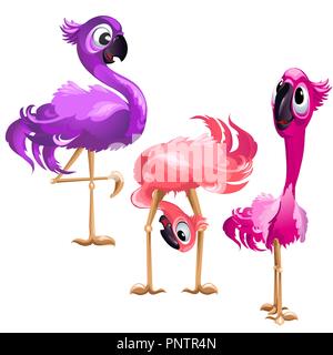 Tre divertenti Flamingo isolati su sfondo bianco. Vector cartoon close-up illustrazione. Illustrazione Vettoriale