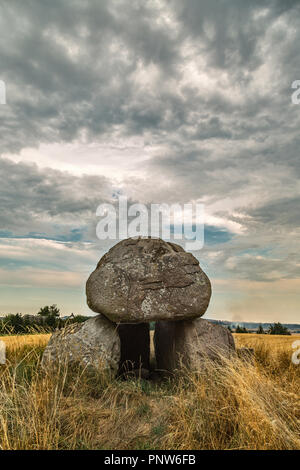 Dolmen di Møn island Foto Stock