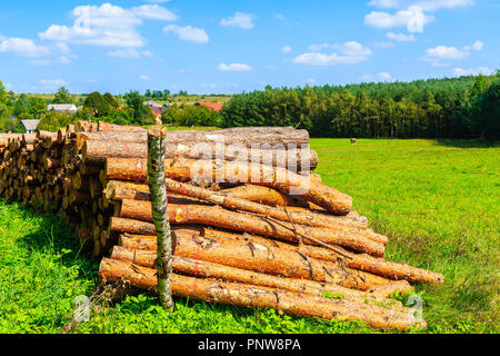 Tronchetti di legno sul prato verde sulla soleggiata giornata estiva vicino città Olkusz, Polonia Foto Stock