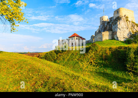 Vista della bellissima medievale castello Rabsztyn al tramonto, Polonia Foto Stock