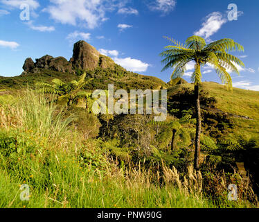 New Zealand. North Island. Landscape with rock outcrop on hill and tree ferns. Foto Stock