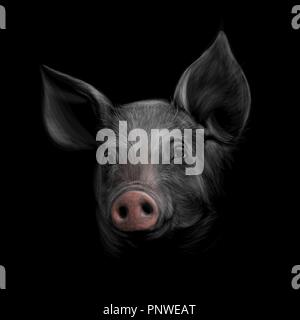 Ritratto di una testa di maiale su uno sfondo nero. Il cinese segno zodiacale Anno di maiale Illustrazione Vettoriale