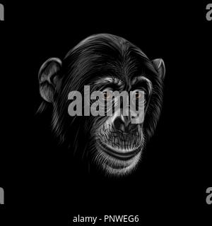 Ritratto di uno scimpanzé di testa su uno sfondo nero Illustrazione Vettoriale