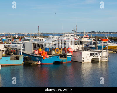 Pesca/imbarcazioni da diporto a Poole Quay/porto in Dorset, England Regno Unito Foto Stock