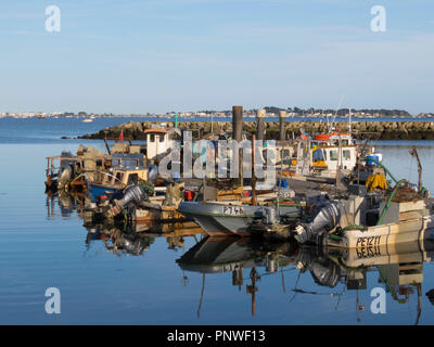 Pesca/imbarcazioni da diporto a Poole Quay/porto in Dorset, England Regno Unito Foto Stock