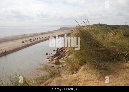 Erosione costiera di dune di sabbia a disprezzare il punto East Yorkshire Regno Unito Foto Stock