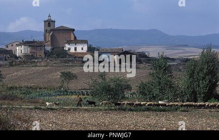 LA RIOJA. CAÑAS. Vista de la localidad, donde destaca su iglesia del siglo XVI. En primer término ONU PASTORE CON SU REBAÑO DE OVEJAS. España. Foto Stock