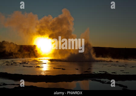 Tramonto am Fontana Grand Geyser, Yellowstone NP Foto Stock