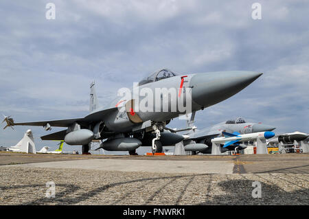 PAC JF-17 Thunder, CAC FC-1 Xiaolong (feroce Dragon) aereo da combattimento a reazione del Pakistan Aeronautical Complex (PAC) e della Chengdu Aircraft Corporation Foto Stock