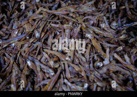 Pesci secchi in vendita su un mercato in stallo nei pressi di Ubud, Bali, Indonesia Foto Stock