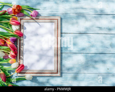 Tulipani colorati intorno al telaio di legno nella primavera sunlights. Molla dello sfondo. Foto Stock