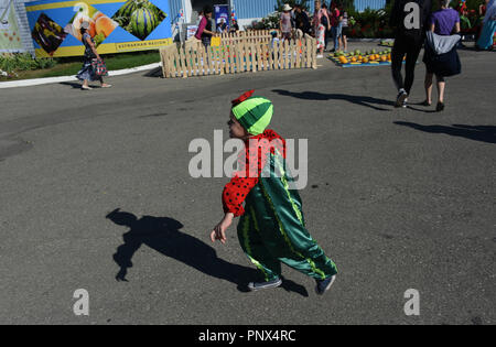 Persone in acqua-melone costume vestito durante il festival di acqua-meloni in Astrakhan, Russia. Foto Stock