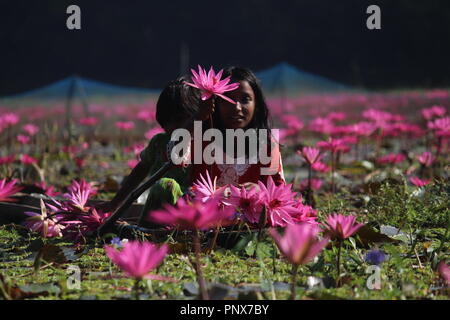 I bambini del Bangladesh raccogliere red water lilies da zone umide in Narayangong. © Nazmul Islam/Alamy Stock Photo Foto Stock