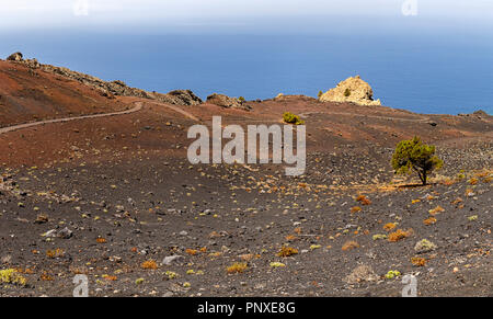 Paesaggio vulcanico a La Palma Isole Canarie Foto Stock