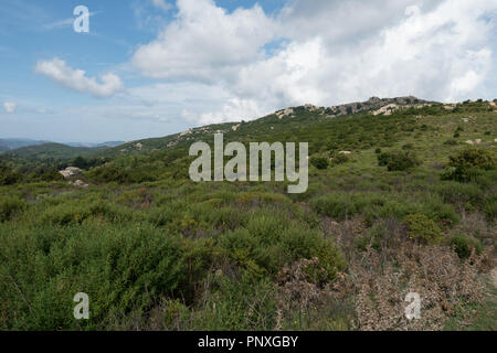 Habitat in sette fratelli Riserva Naturale. Sardegna Foto Stock