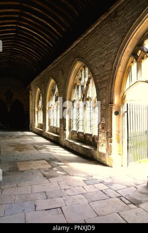 Il chiostro con la Cattedrale di Chichester Foto Stock