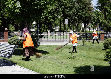 Tashkent, Uzbekistan - 12 Maggio 2017: Città Lavoratori municipali per la pulizia del parco pubblico. Foto Stock