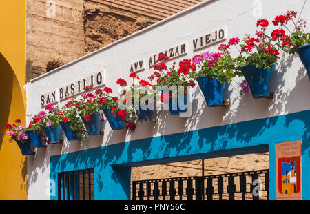 Rosso dei gerani in vasi da fiori blu su un muro di casa, Fiesta de Los Patios, Córdoba, Andalusia, Spagna Foto Stock