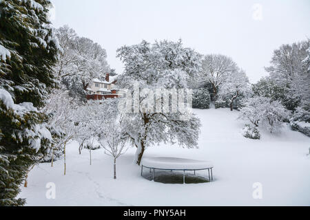 Vista di una grande snowbound giardino posteriore e una coperta di neve trampolino in una casa di Woking, Surrey, Regno Unito ricoperto di neve durante forti nevicate invernali Foto Stock