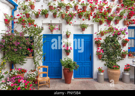 Blue porte anteriori con molti rossi gerani in vasi da fiori su un muro di casa, Fiesta de Los Patios, Córdoba, Andalusia, Spagna Foto Stock