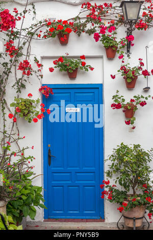 Porta blu con il rosso dei gerani in vasi da fiori su un muro di casa, Fiesta de Los Patios, Córdoba, Andalusia, Spagna Foto Stock