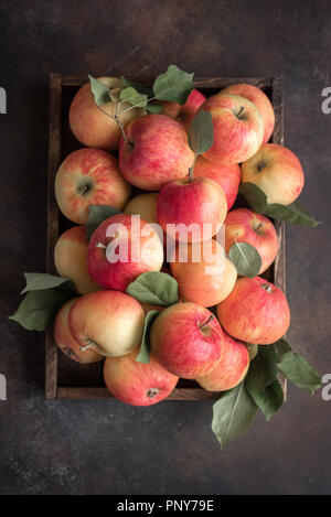 Le mele rosse nella scatola di legno. Organici di mele rosse con foglie su sfondo rustico, copia dello spazio. Foto Stock