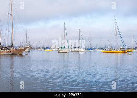 San Diego, California, Stati Uniti d'America. Barche ormeggiate nel porto di San Diego. Foto Stock