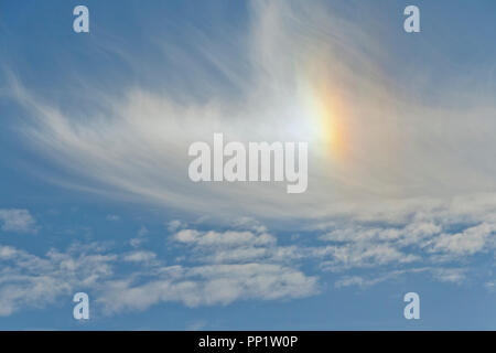 Simili a piume cirrus nuvole rifrangere la luce del sole per creare un sundog contro un sfondo indaco alla fine di dicembre. Foto Stock