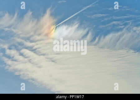 Un aereo vola al di sotto di simili a piume cirrus nuvole rifrangere la luce del sole per creare un sundog contro un sfondo indaco alla fine di dicembre. Foto Stock