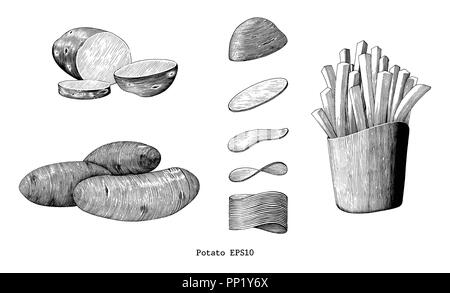 Patate disegnare a mano vintage clip art isolati su sfondo bianco Illustrazione Vettoriale