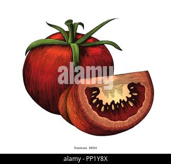 Pomodori disegnare a mano vintage clip art isolati su sfondo bianco Illustrazione Vettoriale