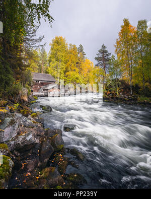 Scenic paesaggio fluviale con bellissimi colori autunnali a giornata autunnale nel Parco Nazionale, Finlandia Foto Stock