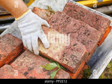 Lavoratore puing il mattone in carriola outdoor. mano closeup Foto Stock