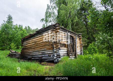 Marciume registri in casa in legno su sfondo verde di erba e foglie. Foto Stock