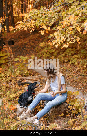 Ritratto di giovane donna con un nero Spaniel cane, in autunno park seduto su un tronco di legno. Alberi con fogliame giallo in background, bella luce del tramonto. Un maglione pesante sulle spalle Foto Stock