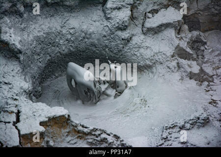 Sculture di fango bollente in Hverir area geotermica, Islanda Foto Stock