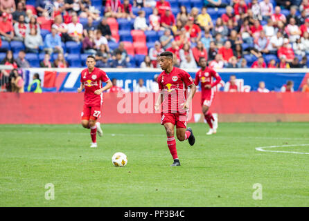 Harrison, STATI UNITI D'AMERICA. Il 22 settembre, 2018. Tyler Adams (4) di New York Red Bulls controlla la sfera durante il normale gioco MLS contro Toronto FC a Red Bull Arena Red Bulls ha vinto 2 - 0 Credito: Lev Radin/Pacific Press/Alamy Live News Foto Stock