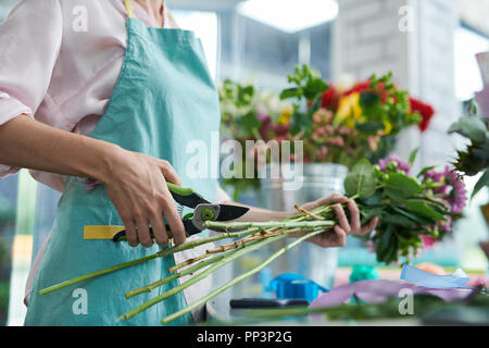 Fioraio di taglio gli steli dei fiori Foto Stock