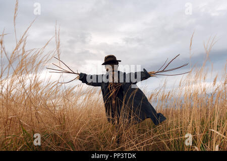 Scary spaventapasseri in un cappello su un cornfield nel cielo nuvoloso sfondo. Halloween Concetto di vacanza Foto Stock