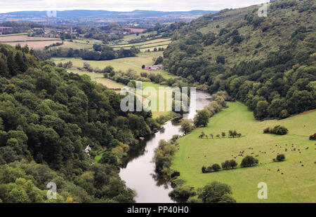 Vista dalla Symonds Yat Rock che si affaccia sul fiume Wye Foto Stock