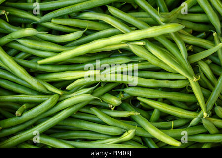 Fagioli verdi il concetto di cucina vegetariana. Foto Stock