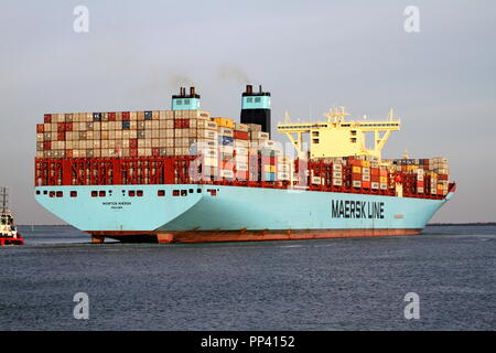 Il contenitore grande nave Morten Maersk lascia il porto di Rotterdam il 18 gennaio 2016. Foto Stock