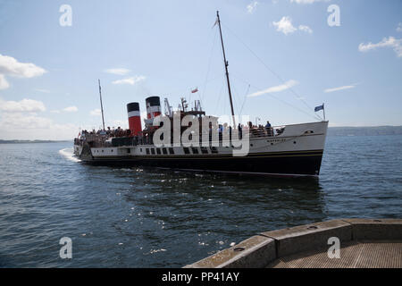Battello a vapore Waverley avvicinando Helensburgh molo sul fiume Clyde, Scozia. L'ultimo marittima in battello a vapore nel mondo. Foto Stock