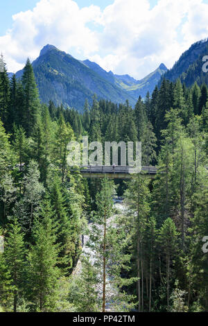 Lechtaler Alpen, Lechtal Alpi: ponte sul torrente Parseierbach, Lechtal Valley, Tirol, Tirolo, Austria Foto Stock